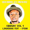 BOZZA OBSHAK DJ - Lingashoni (Moltin Real)