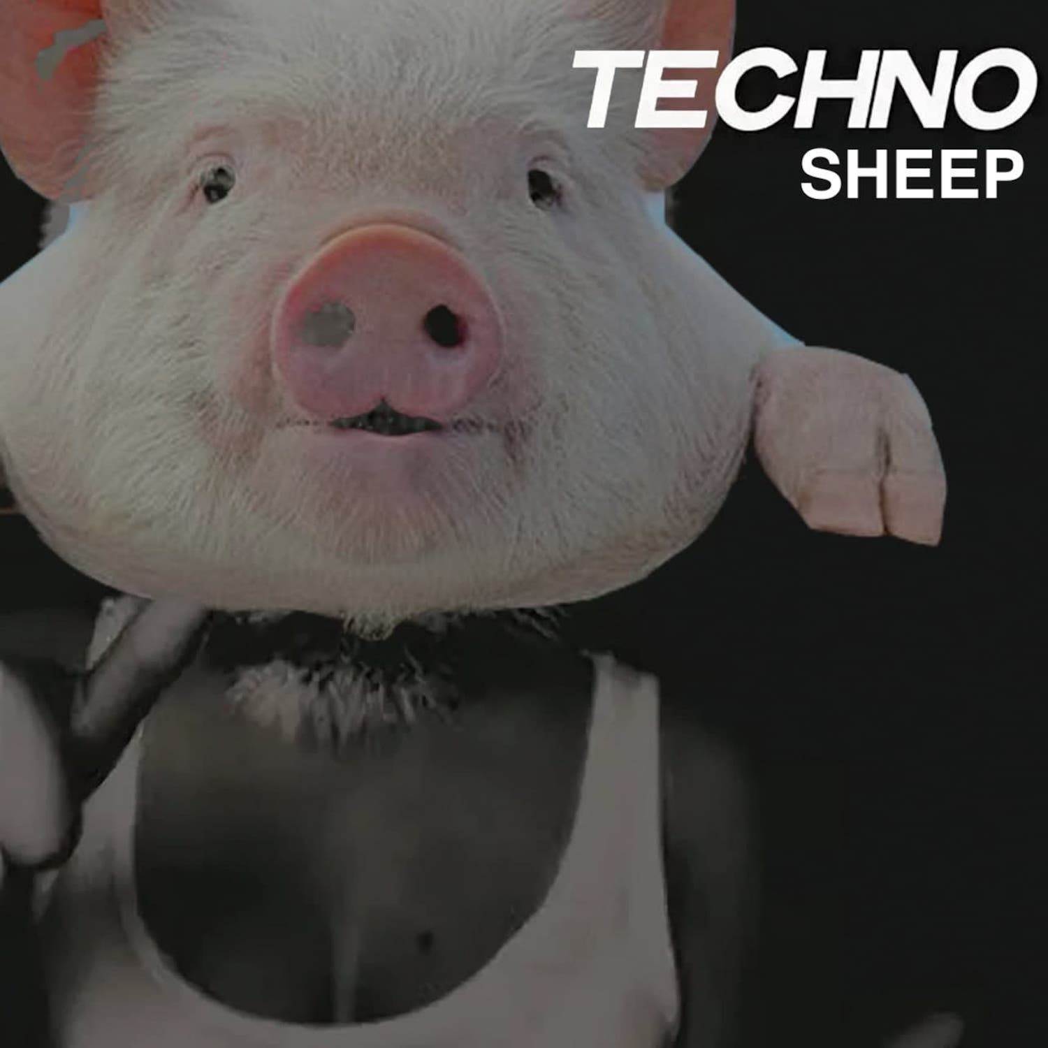 Techno Sheep