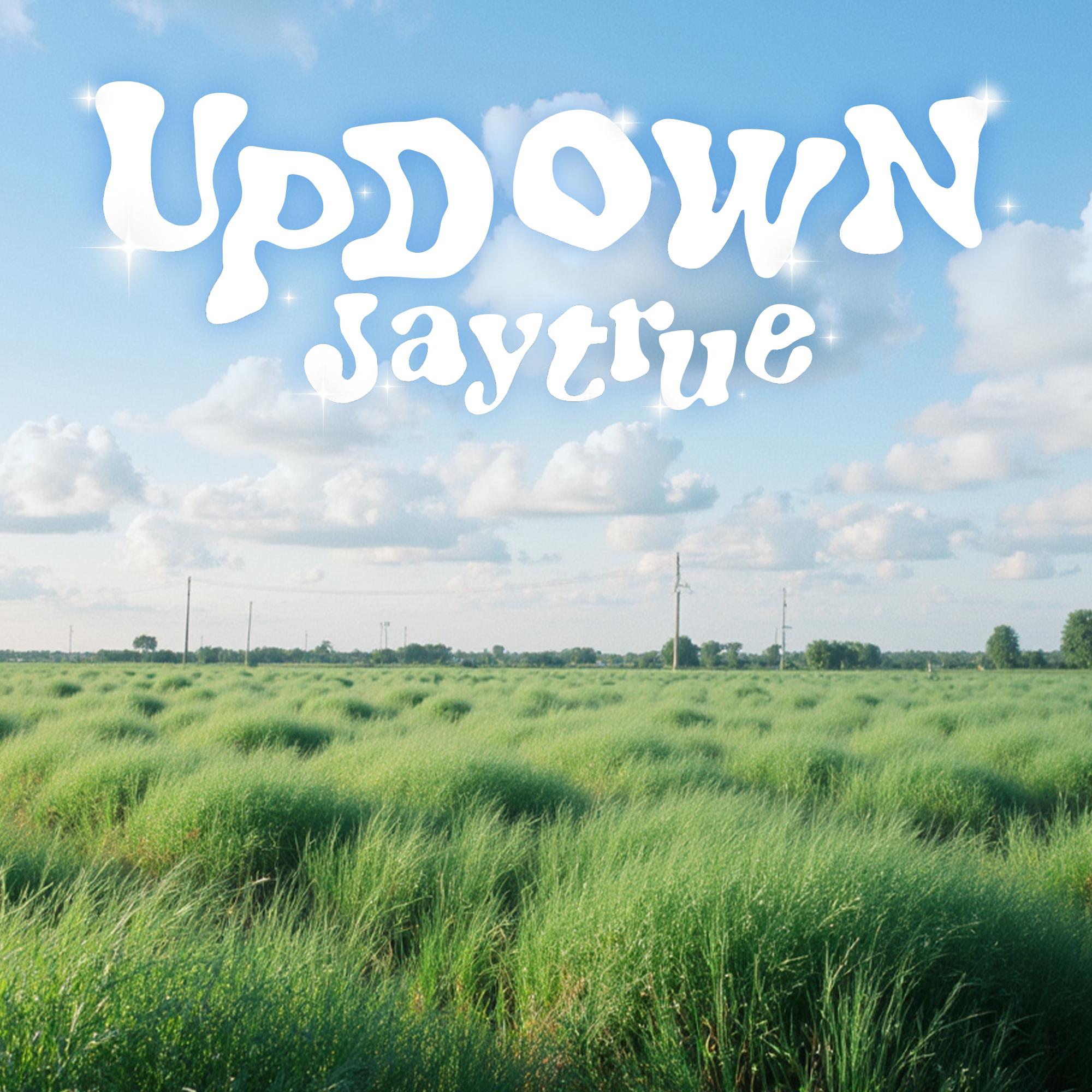 Up Down (英文版)