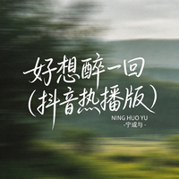 好想醉一回（抖音热播版）