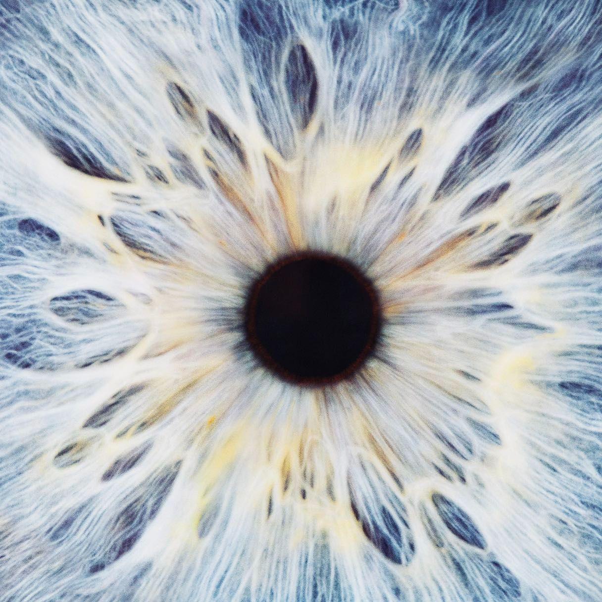 瞳孔