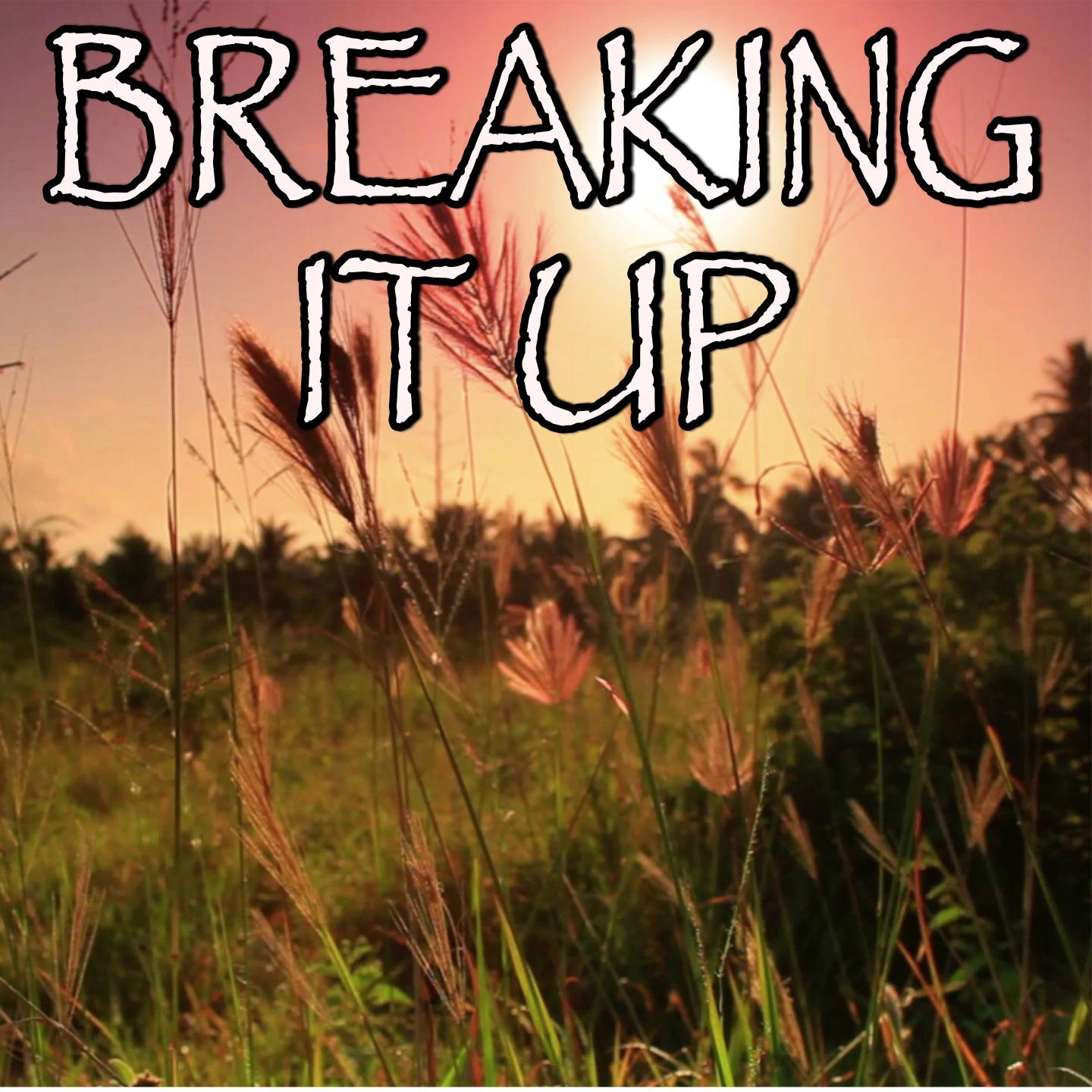 Breaking It Up - Tribute to Lykke Li专辑