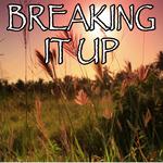 Breaking It Up - Tribute to Lykke Li专辑