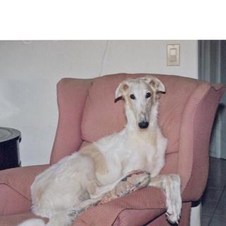 纯音乐：我待你好 你也不要不待我好