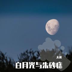 白月光与朱砂痣