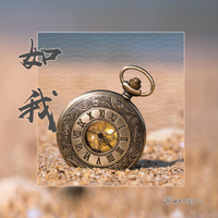 半抱琵琶 - 逝水(原版立体声伴奏)