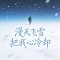 漫天飞雪把我心冷却
