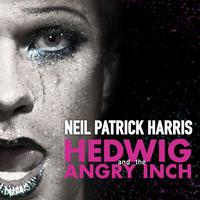 原版伴奏   Origin Of Love - Hedwig & The Angry Inch (karaoke Version) （有和声）