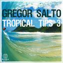 Gregor Salto - Tropical Tips 3专辑