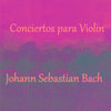 Concerto for Violin and Oboe in C Minor, BWV 1060R: II. Adagio