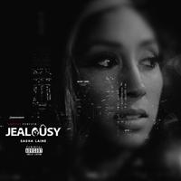 Sasha Laine - Jealousy (Instrumental) 原版无和声伴奏