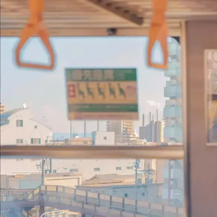 有风轻轻吹