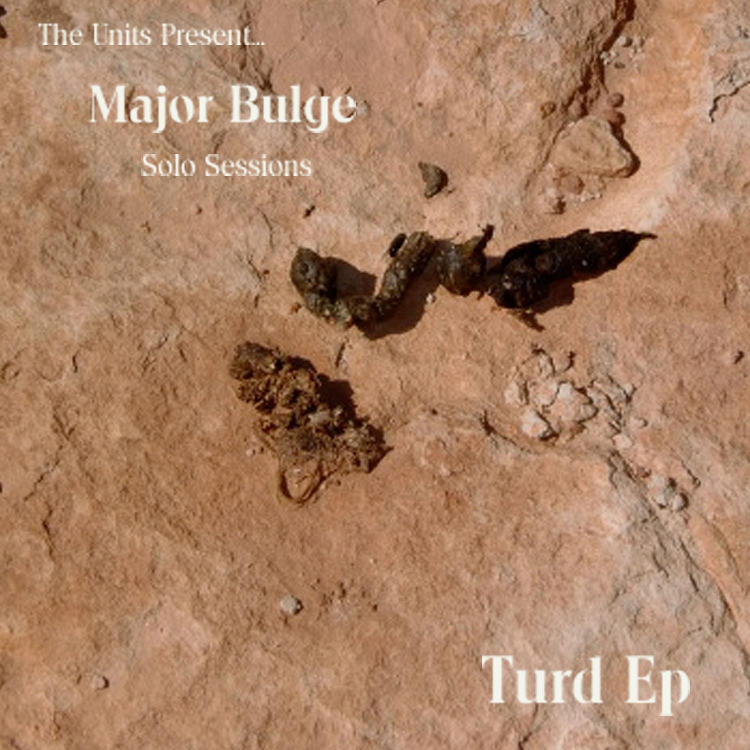 The Units - Major Bulge Sessions - Turd (EP)