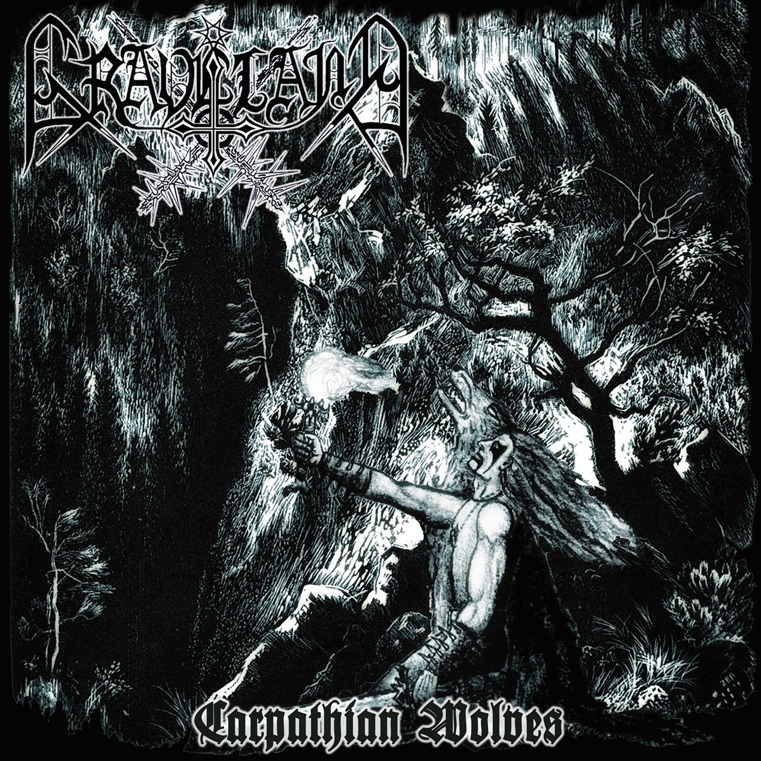 Carpathian Wolves