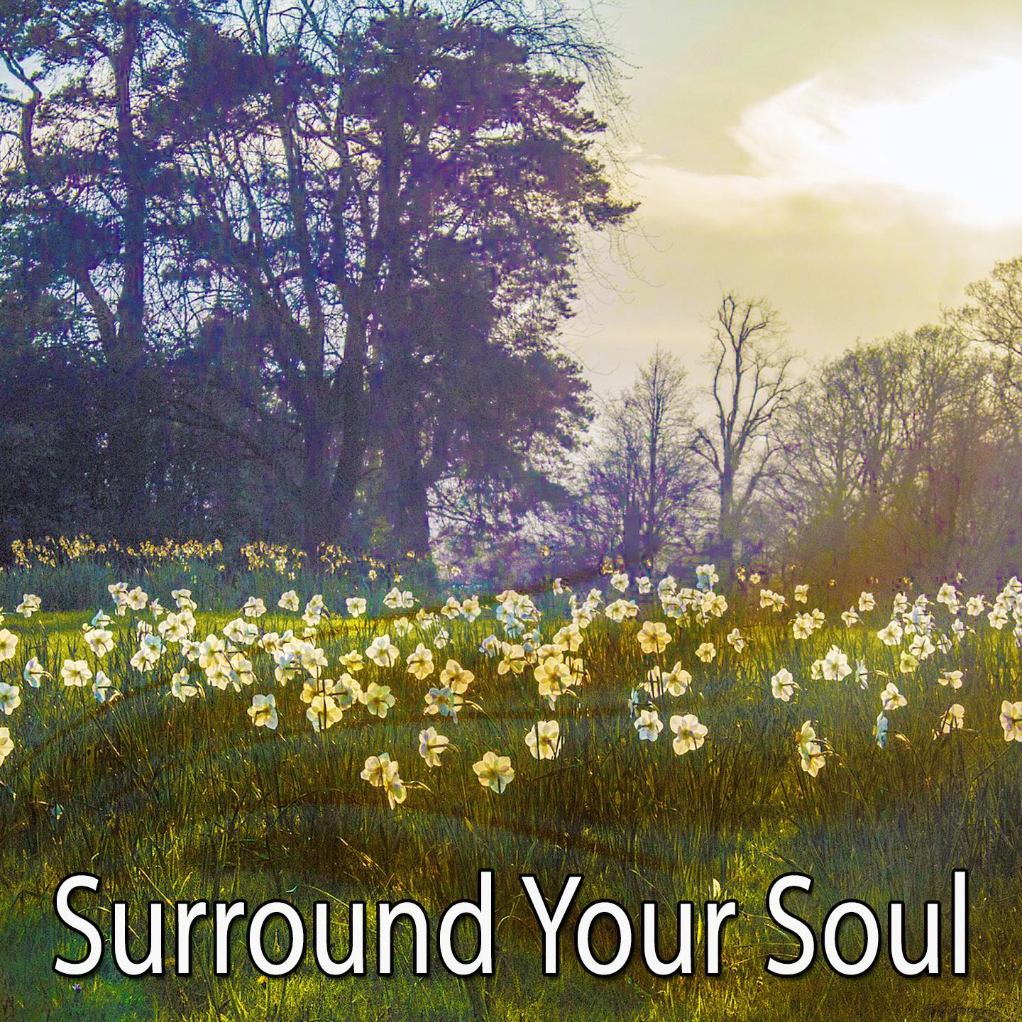 Surround Your Soul专辑