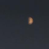 逝昏