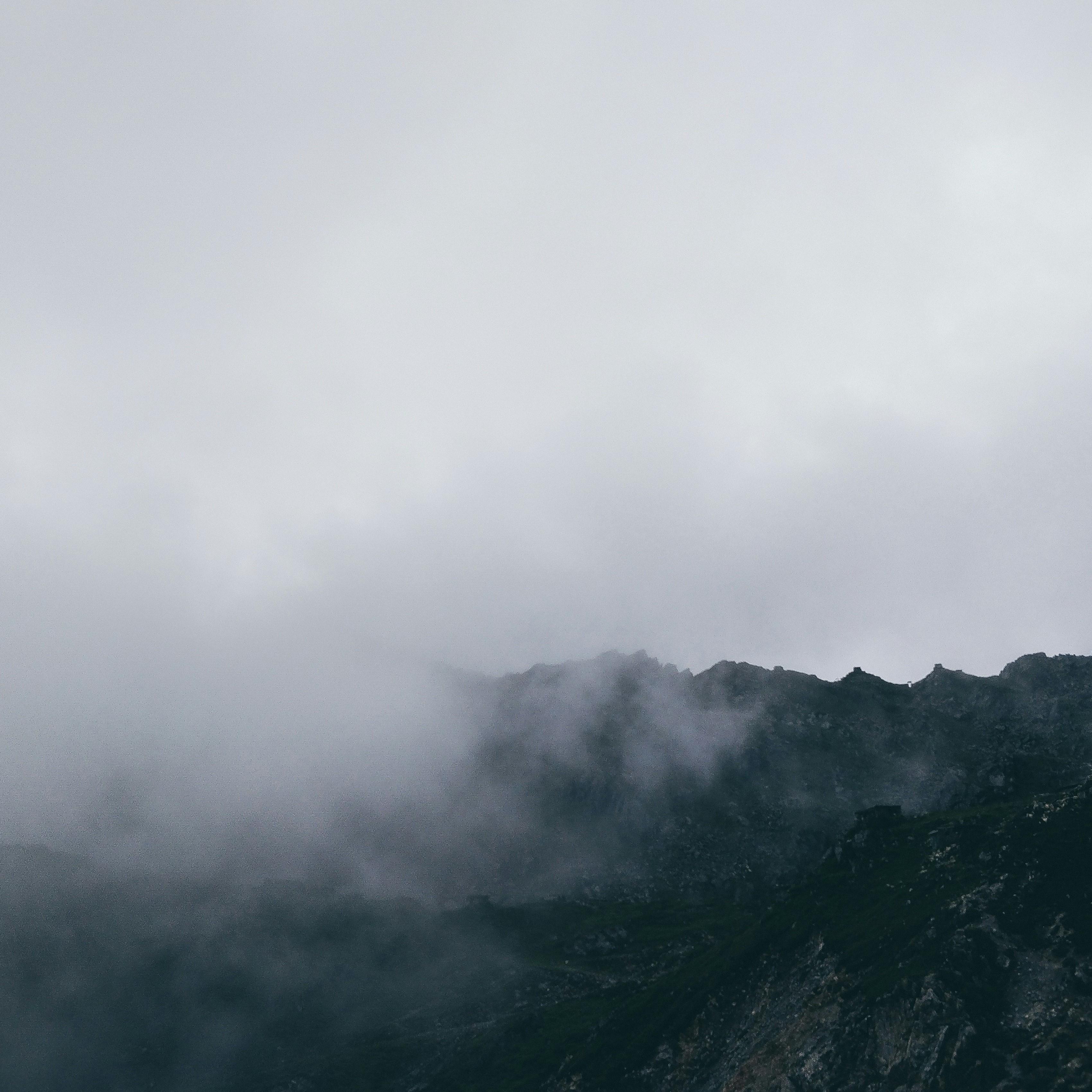 放手2024 马健涛