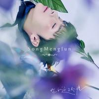 宋孟君 - 你永远不会懂 (原版伴奏)