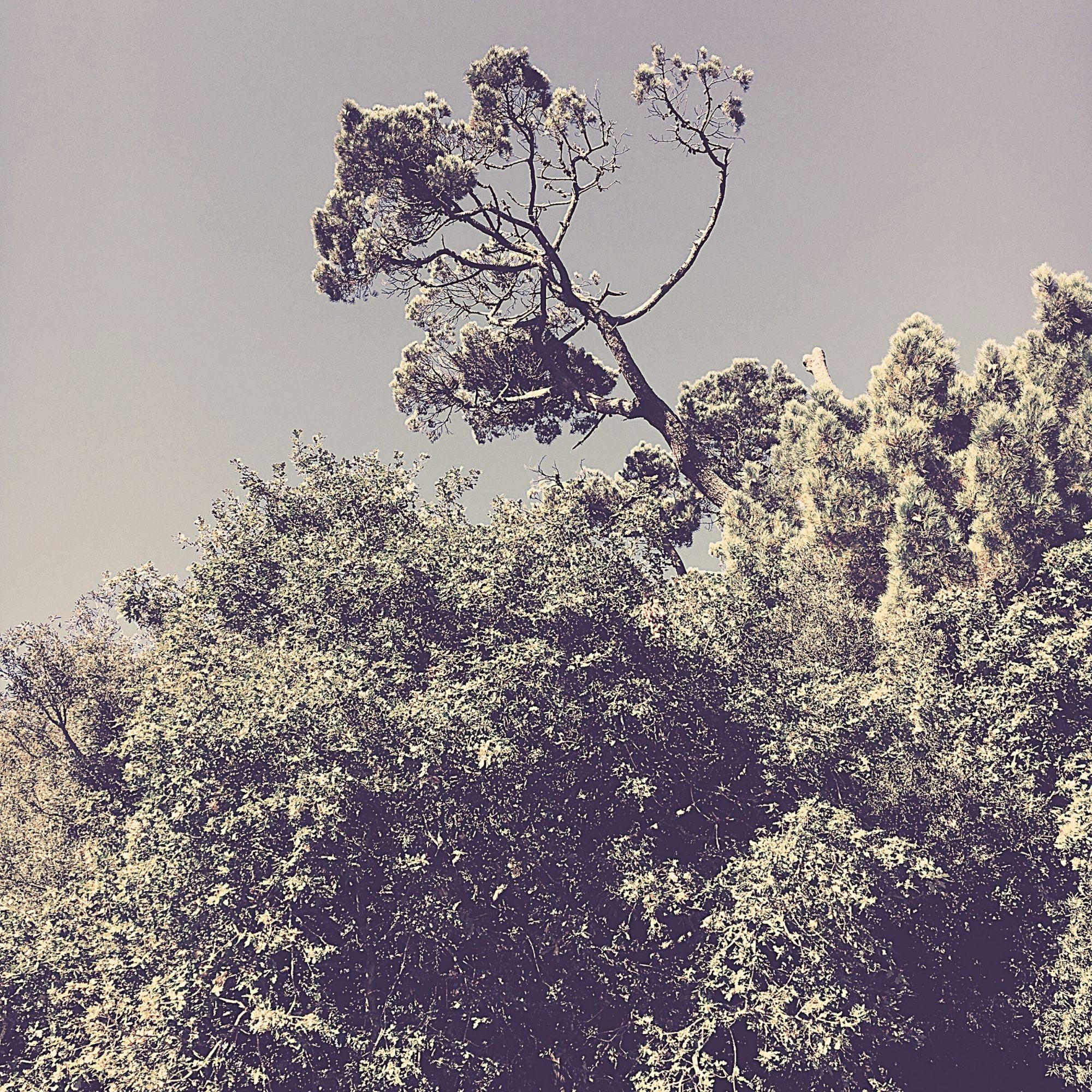 Music for Unwinding - Guitar