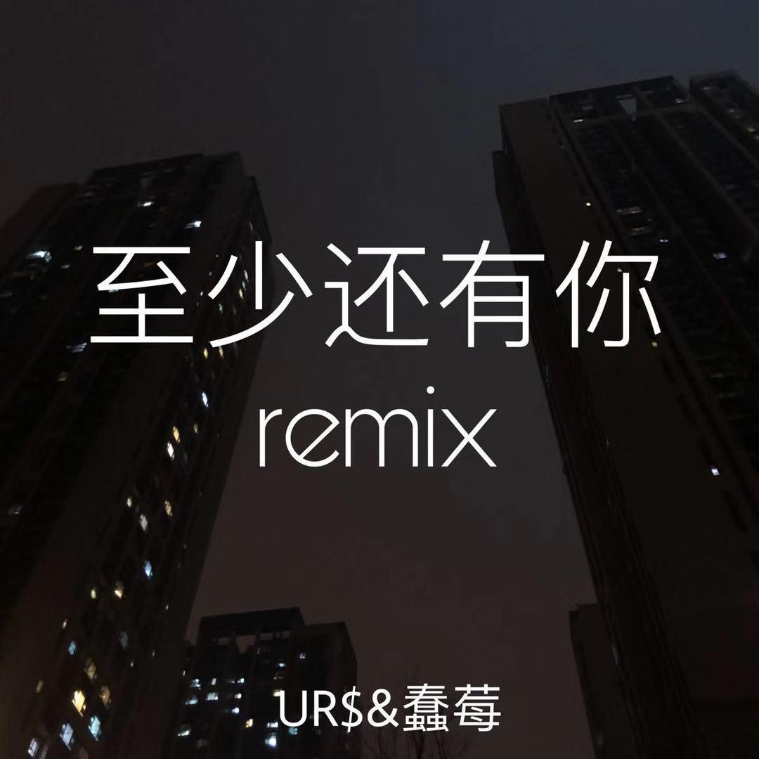 林忆莲-至少还有你（UR$ / 蠢莓 remix）