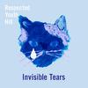 Respected Youth Hill - Invisible tears (feat. akiko)