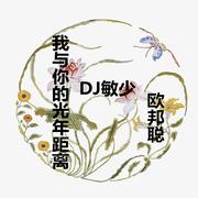 东西（DJ版）