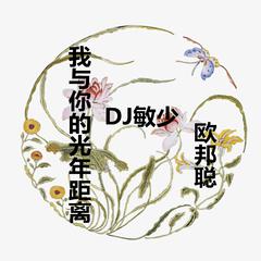 爱在刻苦铭心时（DJ版）