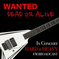 Wanted Dead or Alive (Karaoke) （原版立体声）