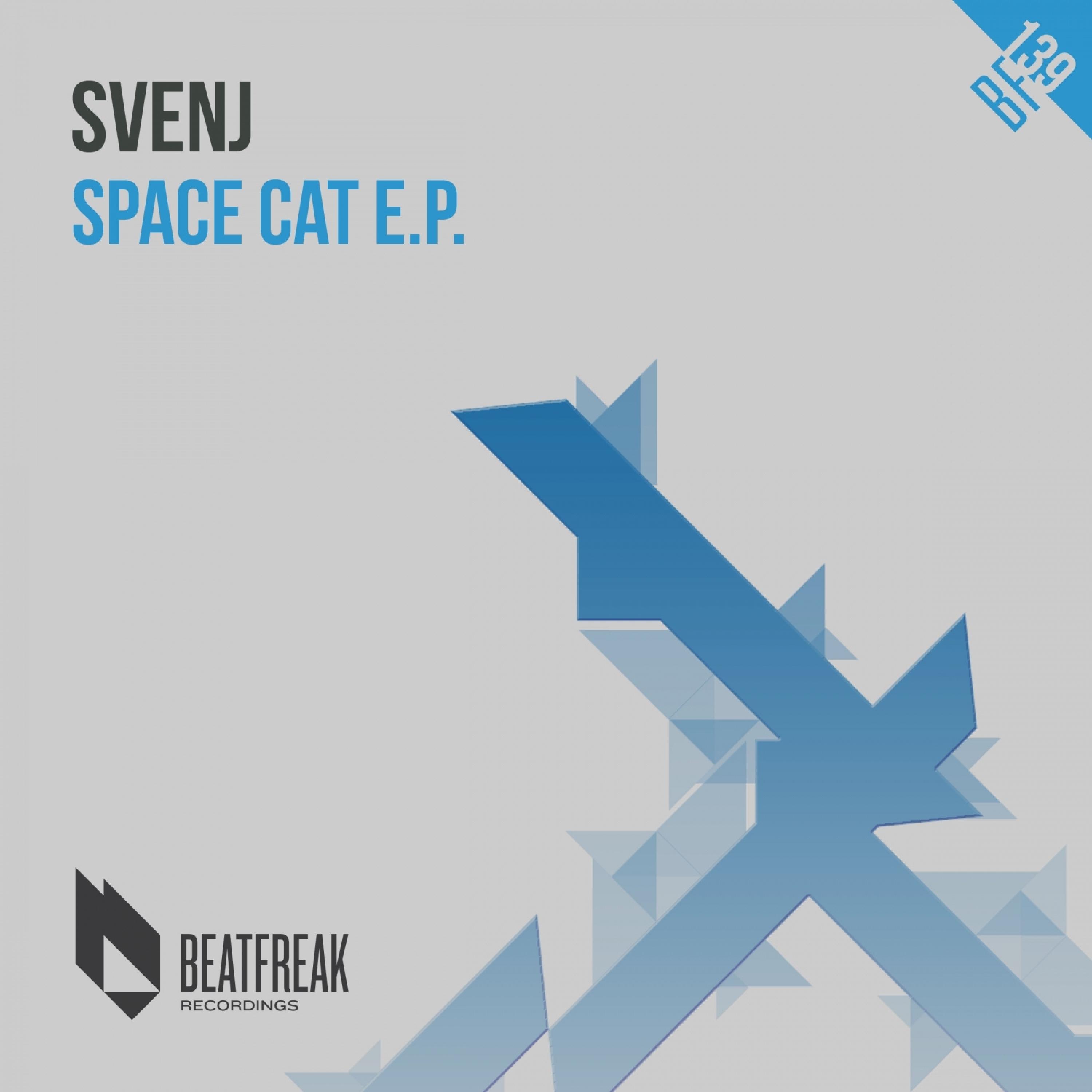Space Cat