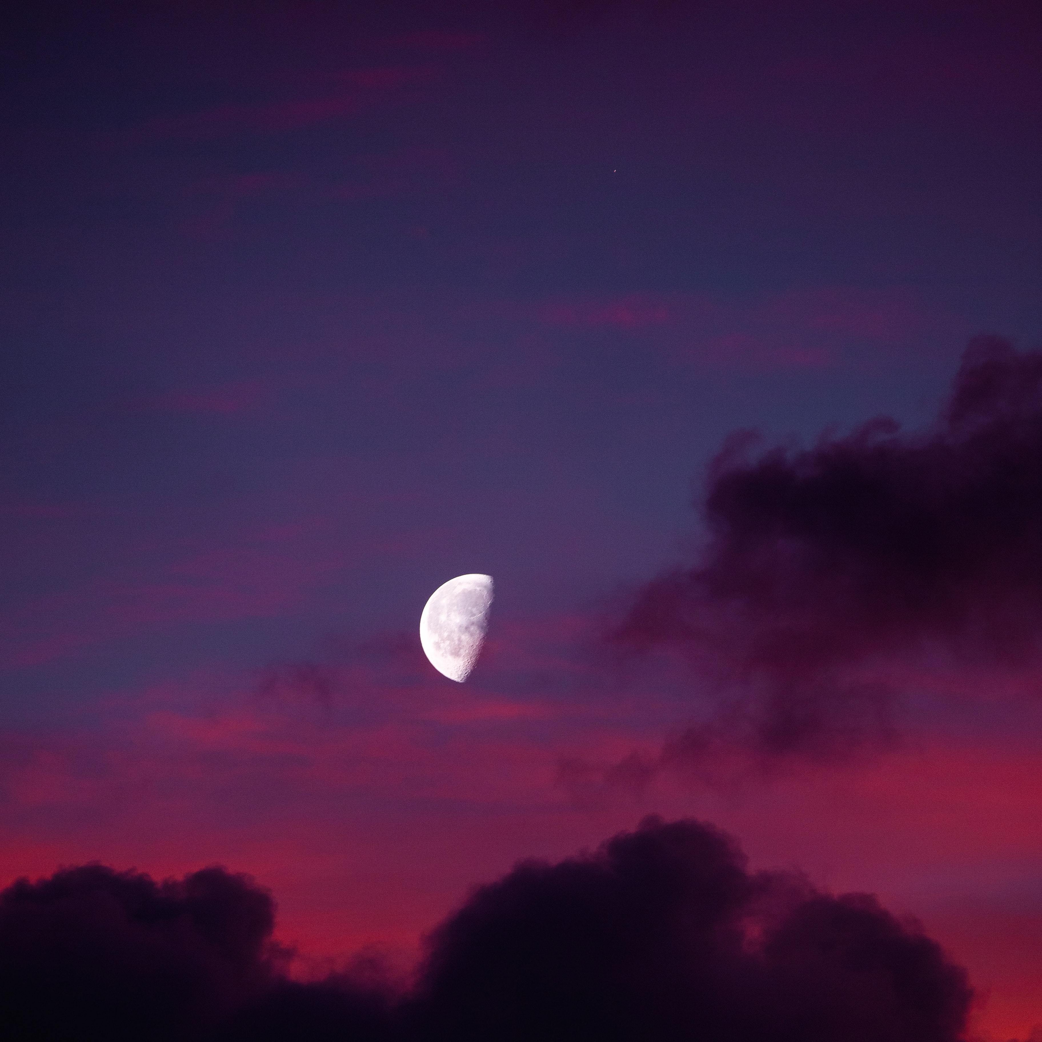 PUBF:it don't bother