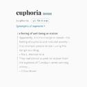 euphoria专辑