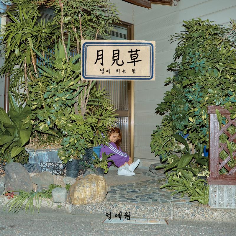 月見草 : 밤에 피는 꽃