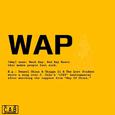 WAP (中国新说唱Response) (1985 Remix) - Single