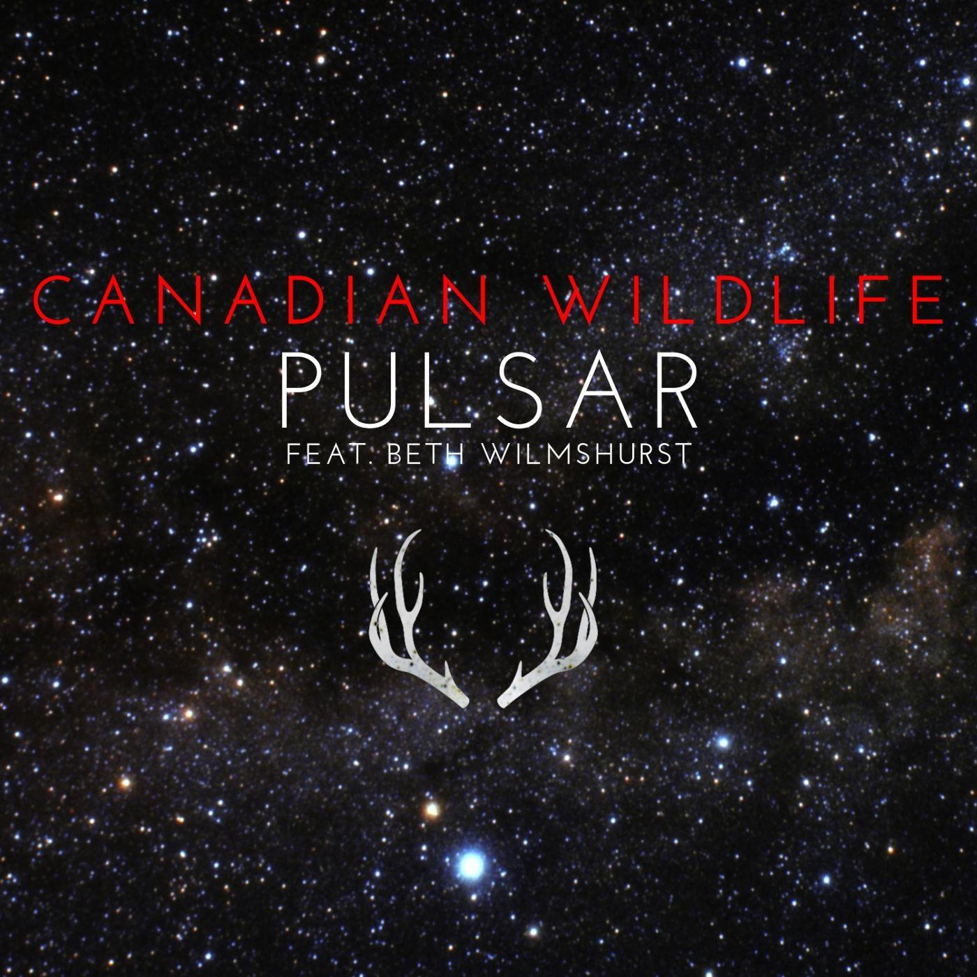 Pulsar - EP