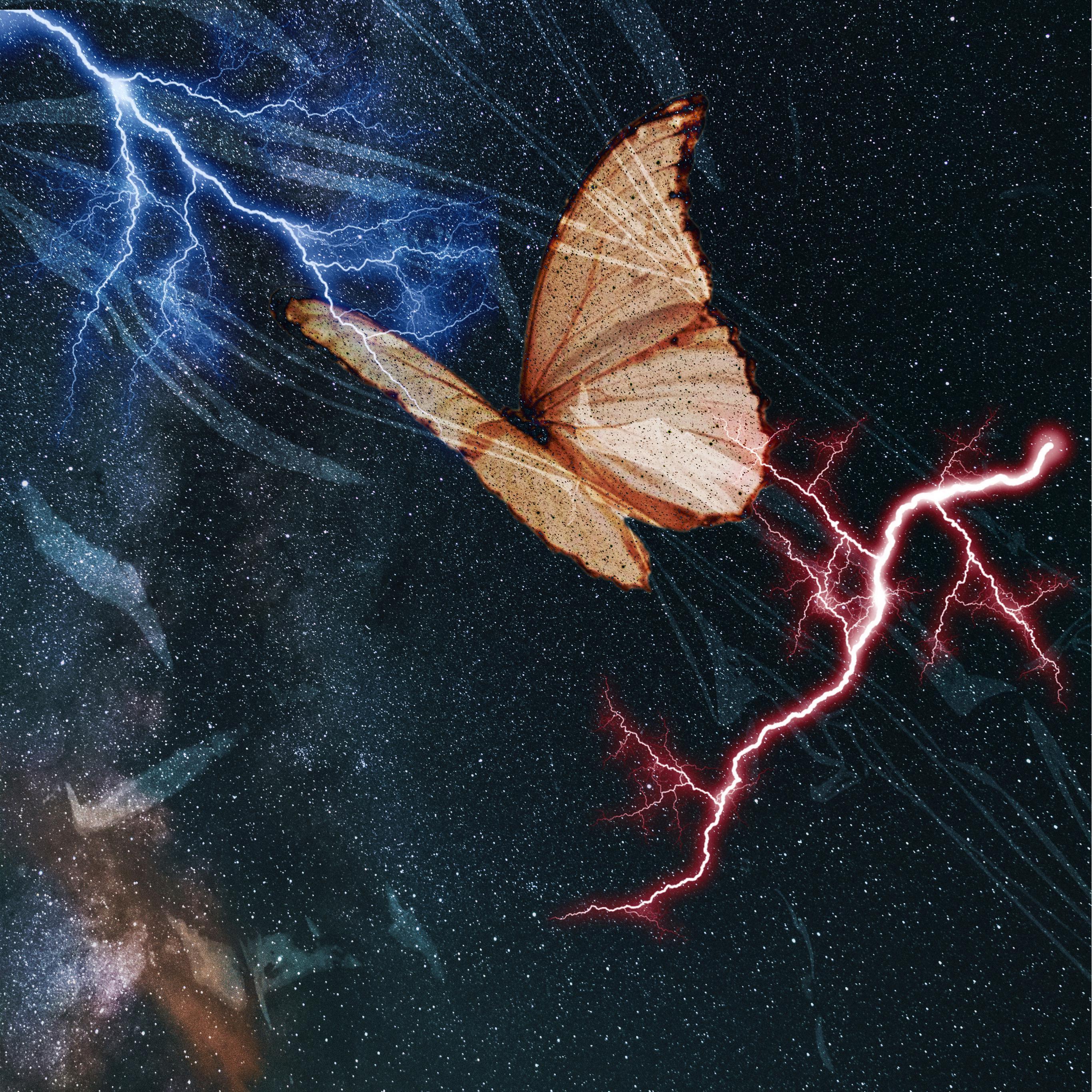#Butterfly03#