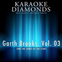 Two Pina Coladas - Garth Brooks (karaoke)