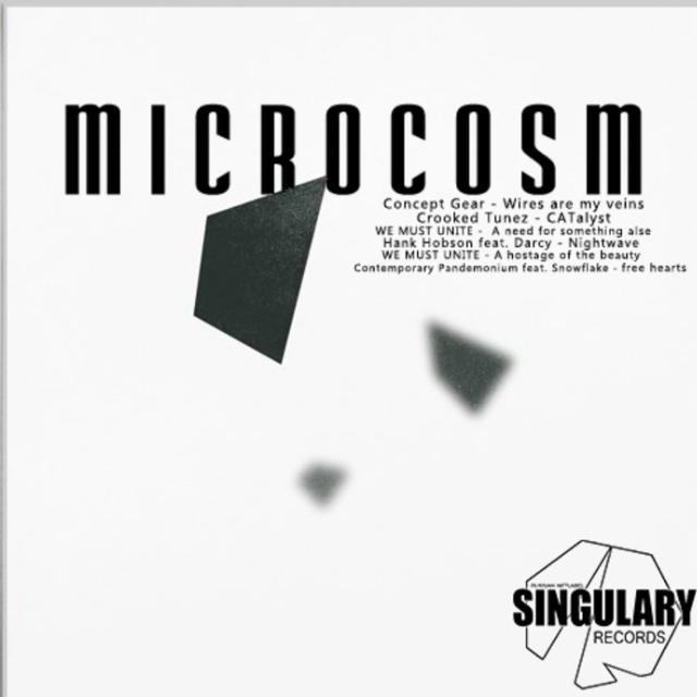 Microcosm