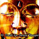 10 Tracks For Serene Thought专辑