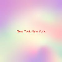 NEW YORK NEW YORK - VARIOUS (KARAOKE)