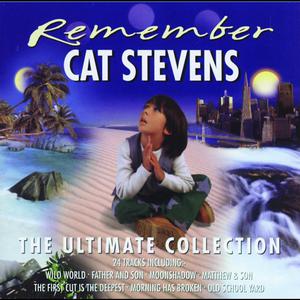 Cat Stevens - Granny (unofficial Instrumental) 无和声伴奏