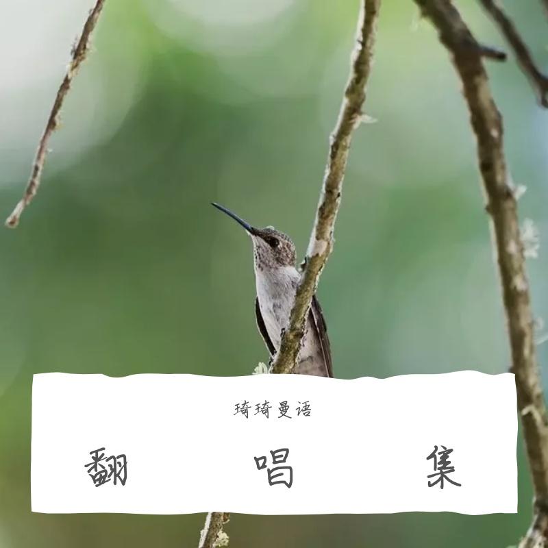 追光者