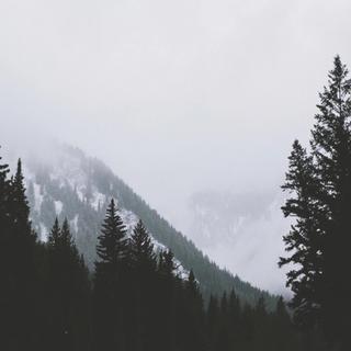 The Foggy Dew爱尔兰民谣精选（3）