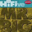 Rhino Hi-Five: Mr. Big (LP Version)专辑