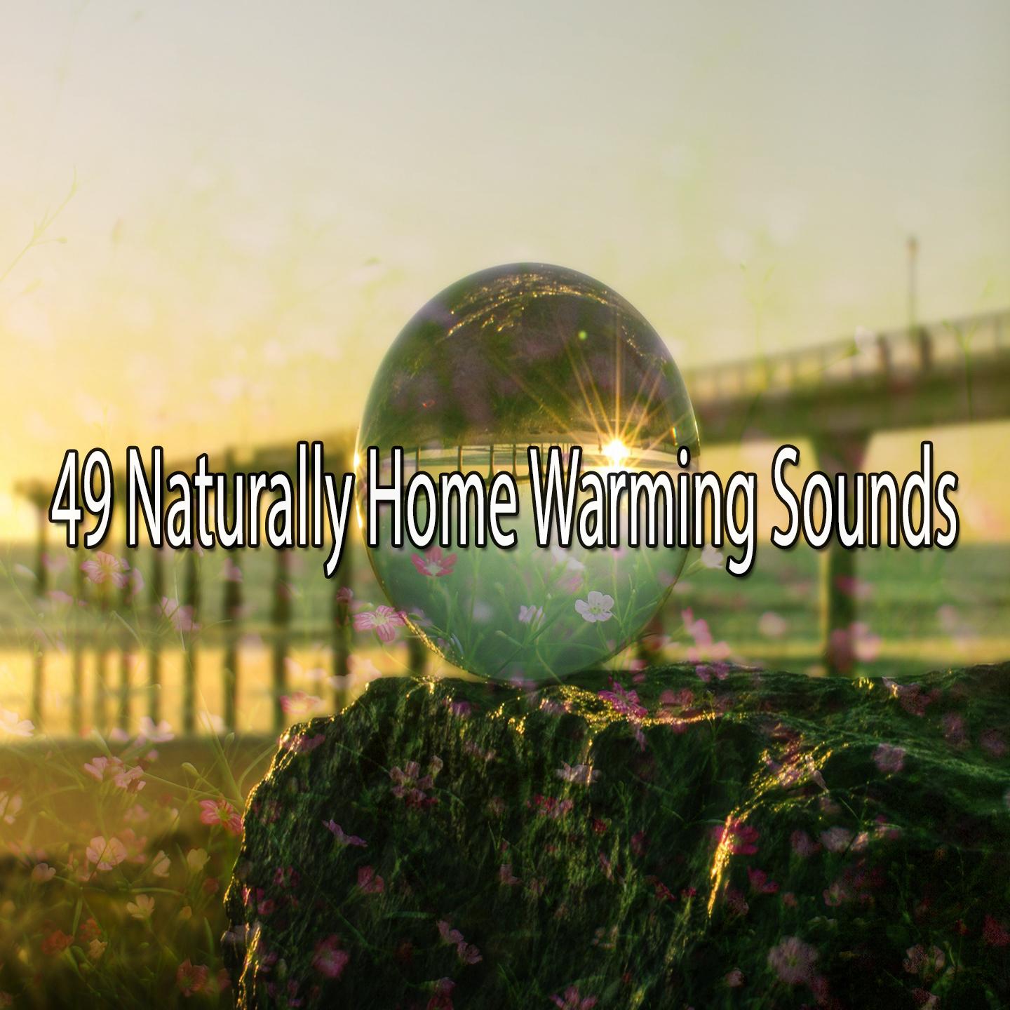 49 Naturally Home Warming Sounds专辑