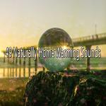 49 Naturally Home Warming Sounds专辑