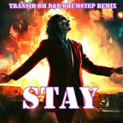 STAY (Transir-BH remix）