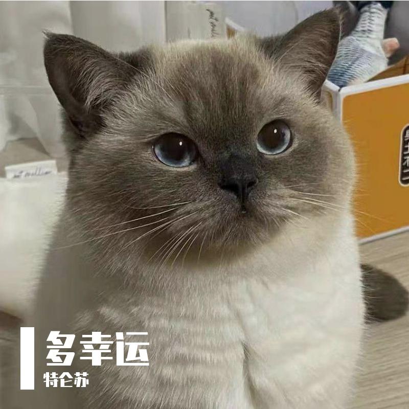 多幸运