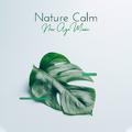 Nature Calm New Age Music: Compilation of Songs for Total Relax, Ambient Music Perfect to Wake Up wi