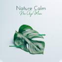 Nature Calm New Age Music: Compilation of Songs for Total Relax, Ambient Music Perfect to Wake Up wi专辑