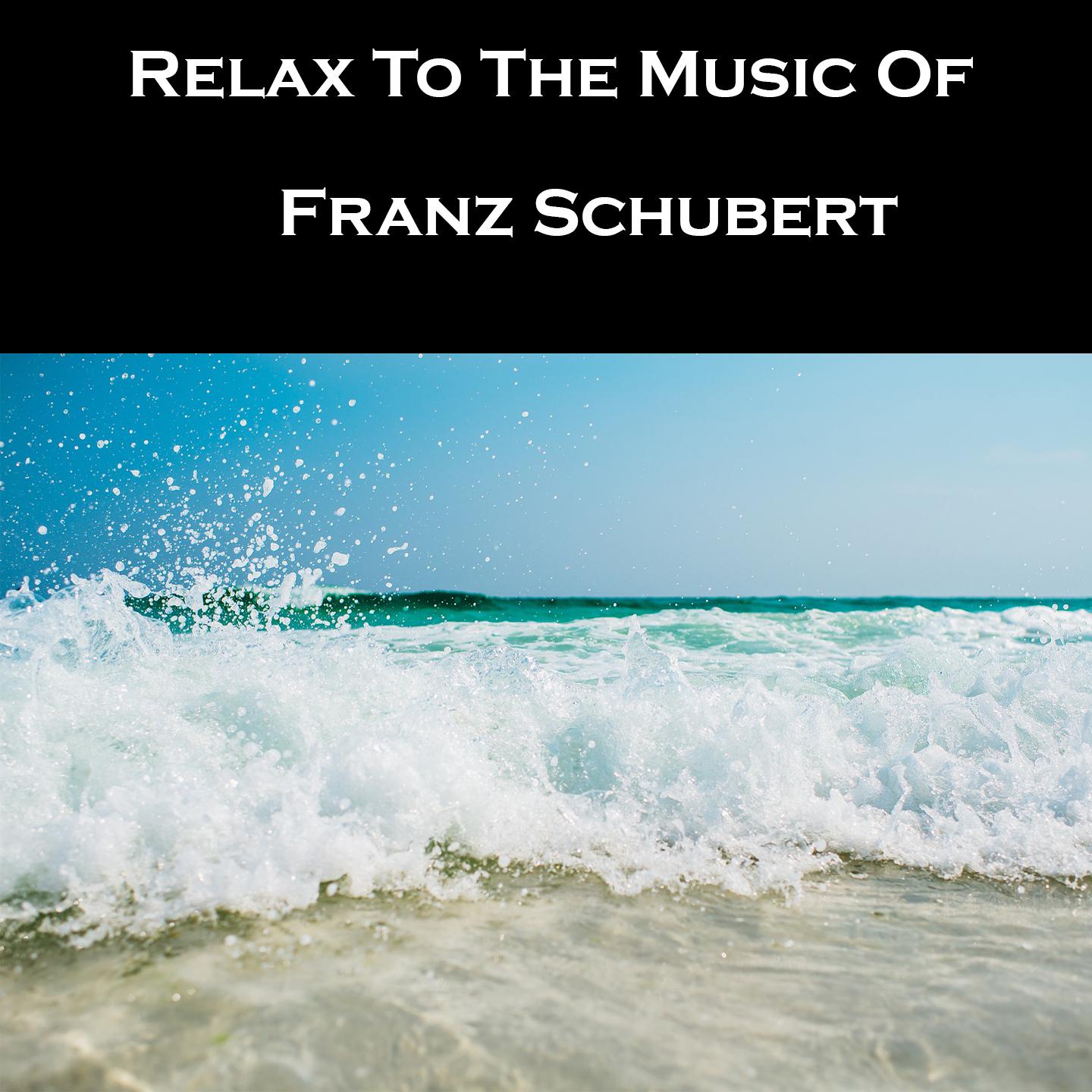 Relax To The Music Of Franz Schubert专辑